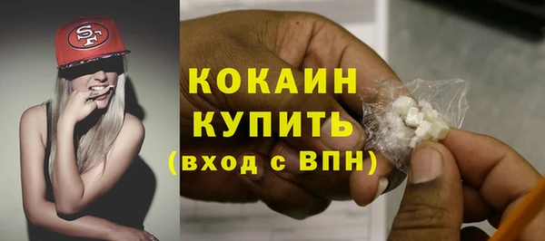 ешки Горняк