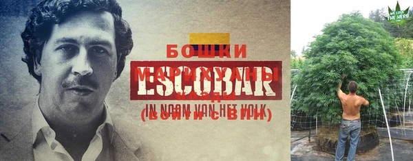 ешки Горняк