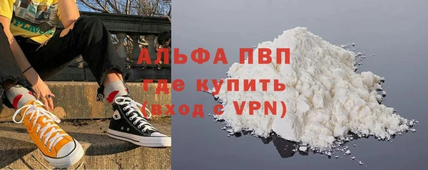 ешки Горняк